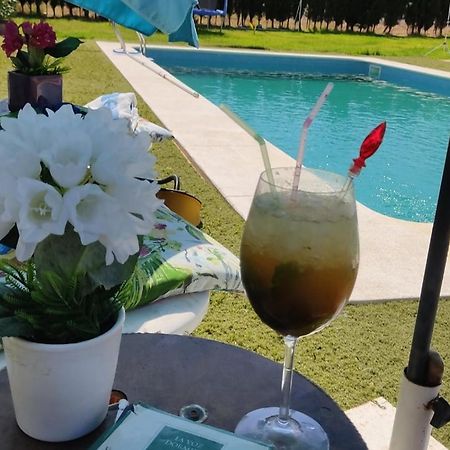 Casa Villa El Olivar Huelva Dış mekan fotoğraf